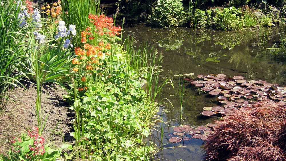 Salt Lake City Landscaping