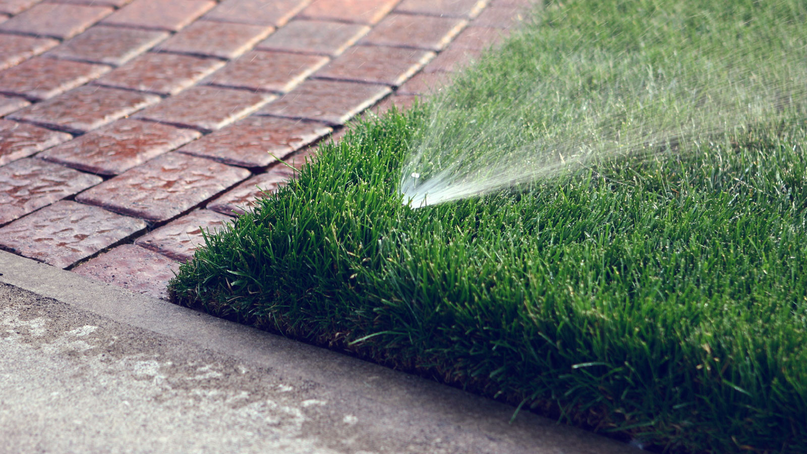 Home Elite Landscape & Sprinkler