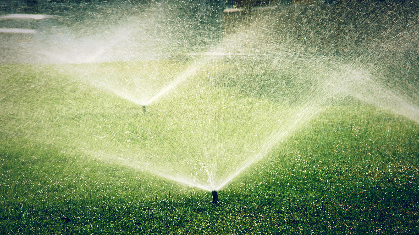 Home - Elite Landscape & Sprinkler